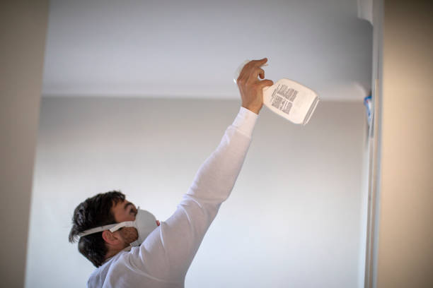 Best Residential Mold Remediation in Bay Hill, FL